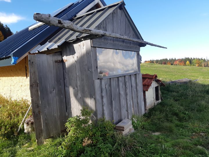 Cabane sous le Tracollet