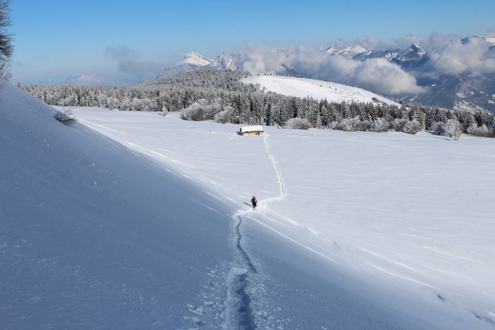 Cabane sous le Tracollet
