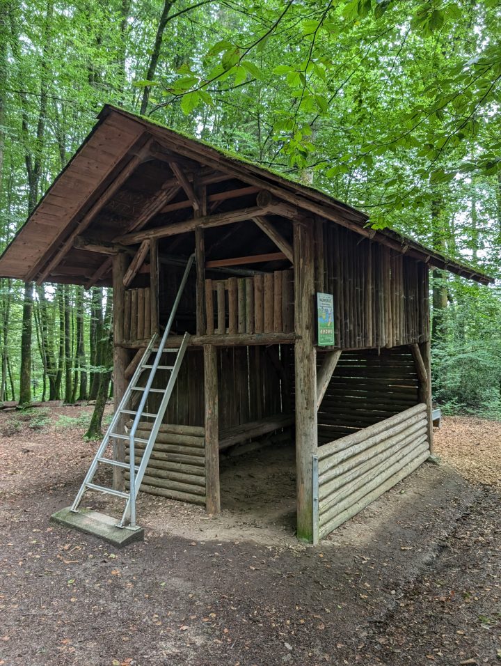 Cabane avec toboggan