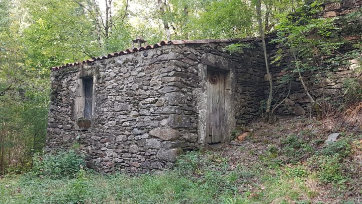 Abri de Bournac
