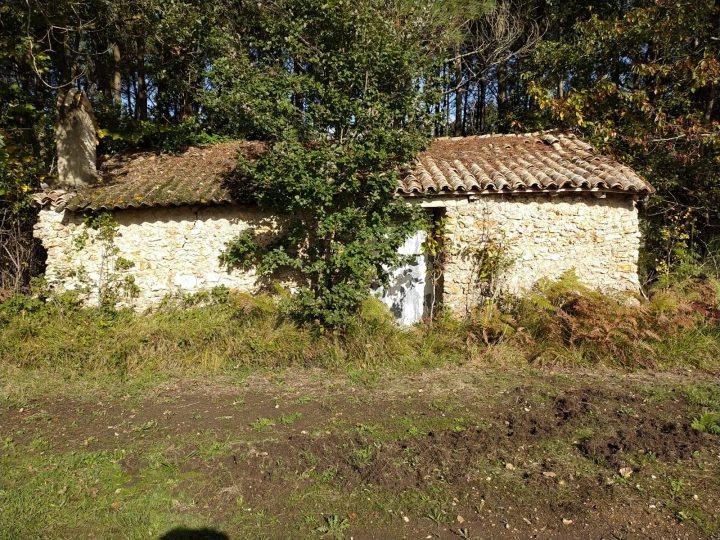 Cabane du Pinail Sud-Est