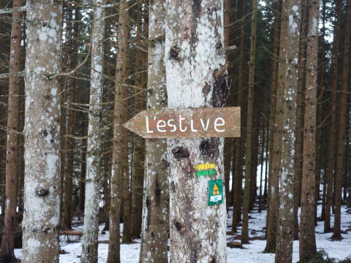 L'estive