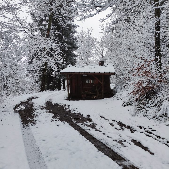 Cabane du Dersou