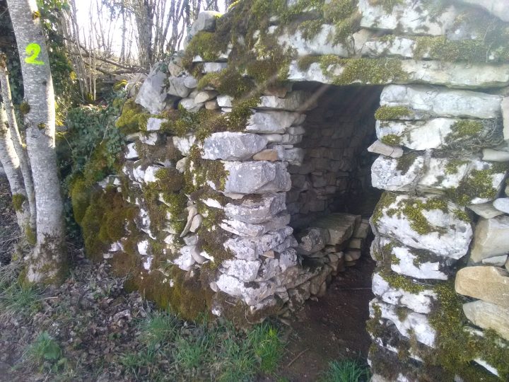 Caborde de Chaumois Boivin n02