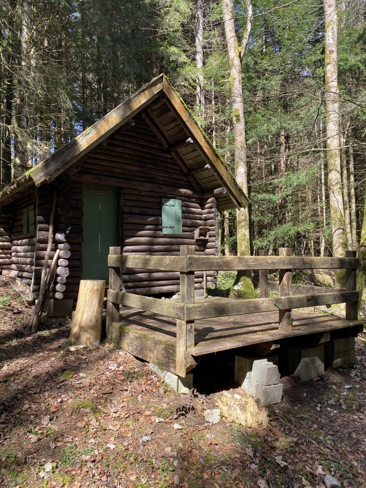 Cabane de forêt