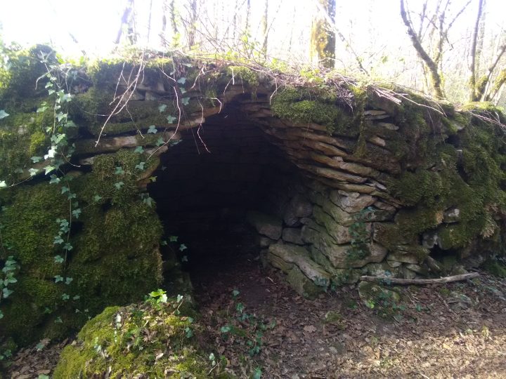 Caborde devant le bois de Rarateau