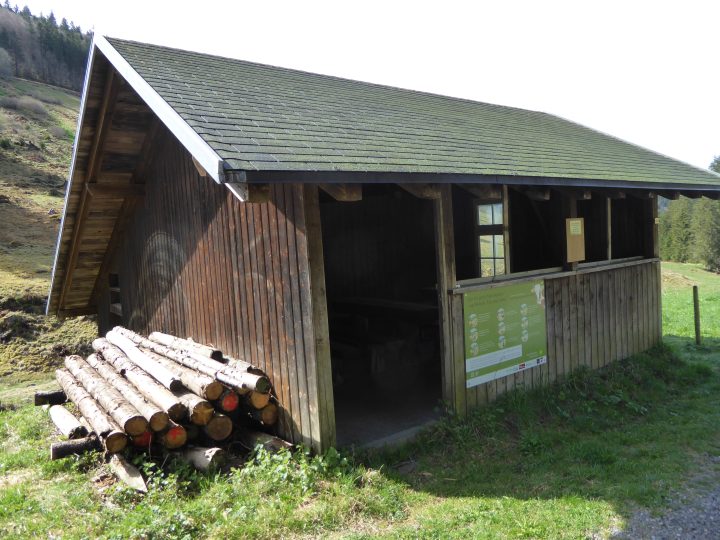 Jungviehweide Holzschlag