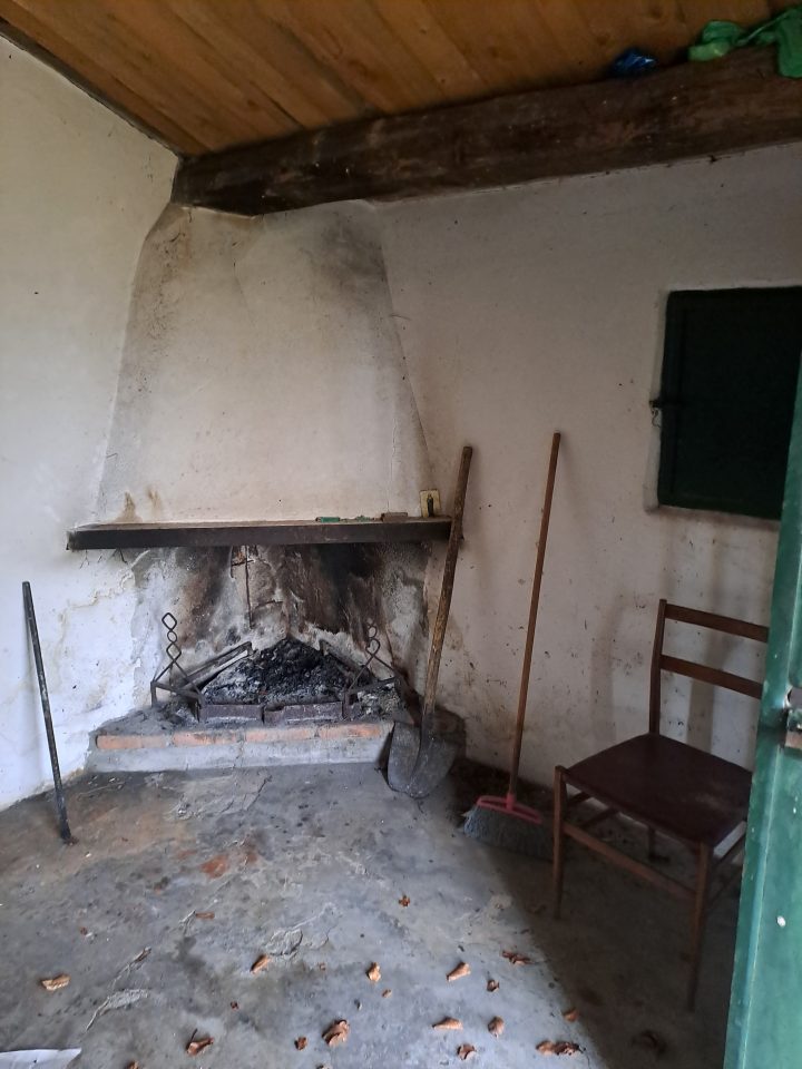 Ardicari