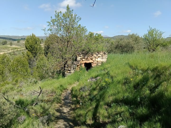 Abri de Valdecornava (haut)