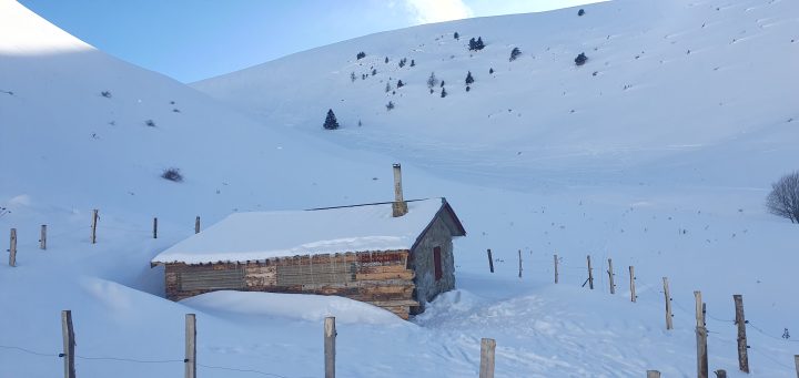 Clos de l'Alpe