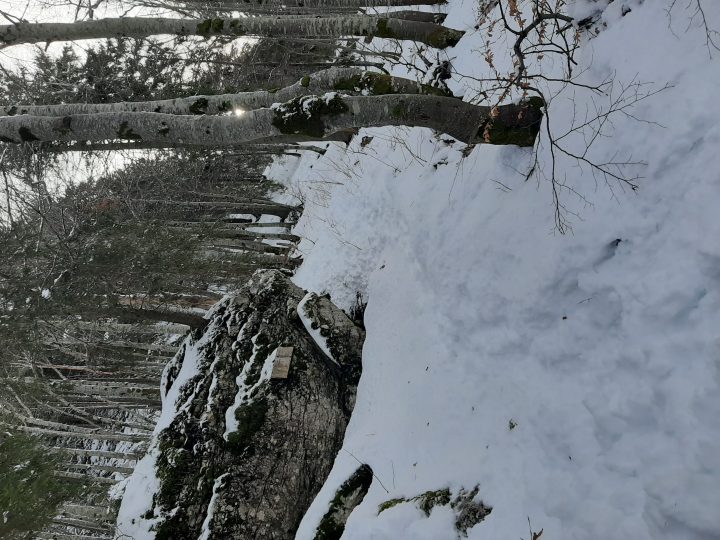 Chalet du Gralet
