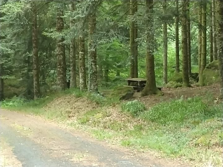 Cabane des Dresseyres