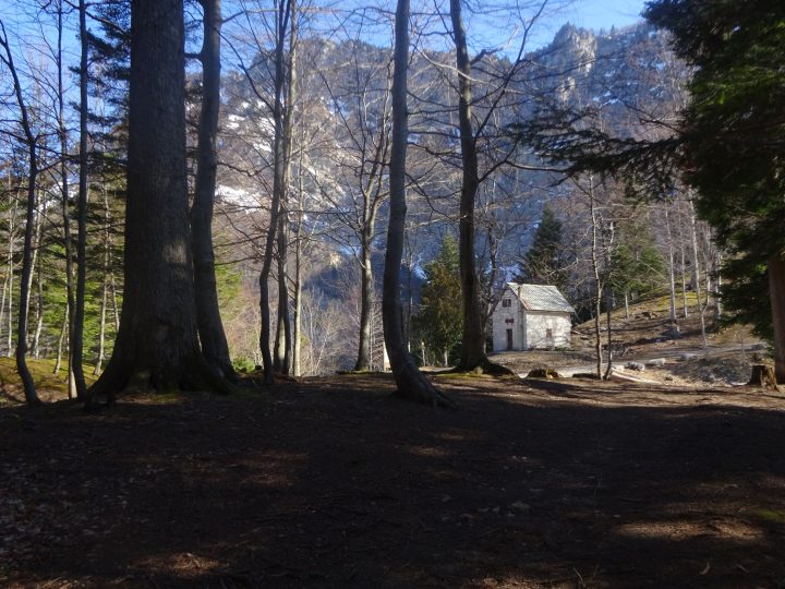 Abri forestier de la Roize