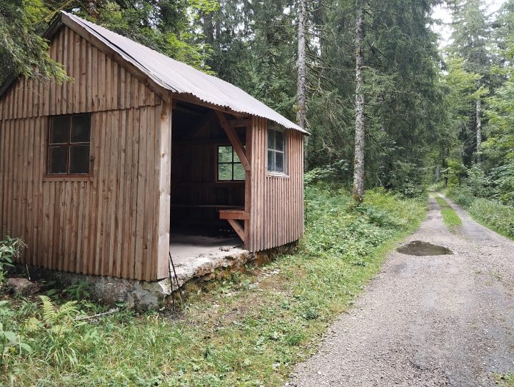 Cabane forestiere
