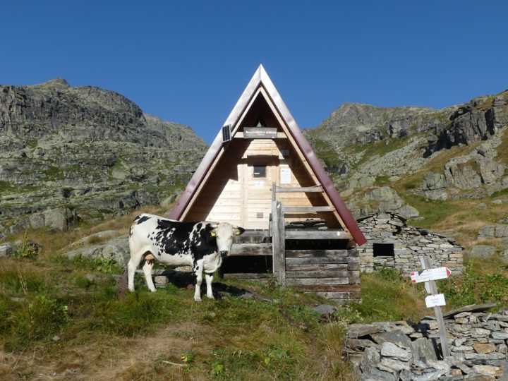 Bivouac Cecilia Genisio