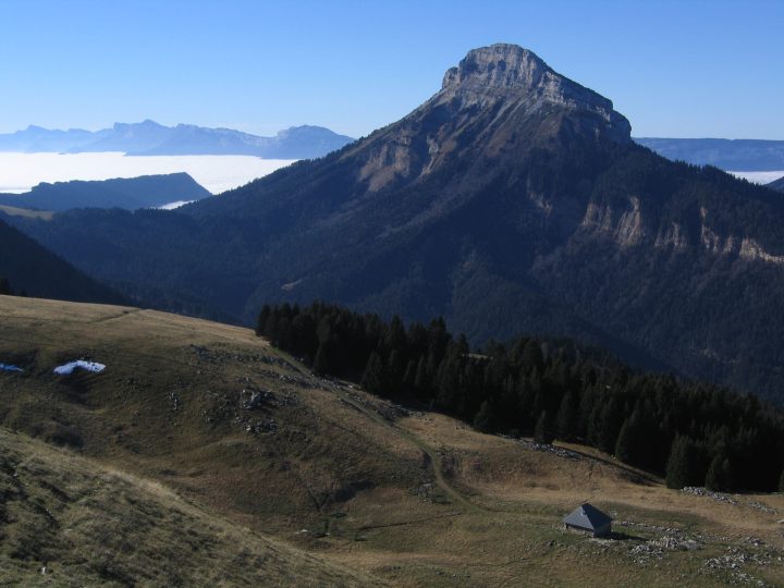 Habert de Pravouta