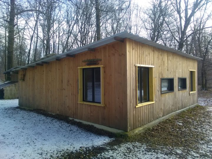 L'oursonne de la forêt de chaux