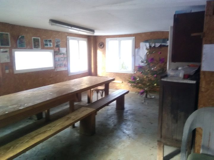 L'oursonne de la forêt de chaux