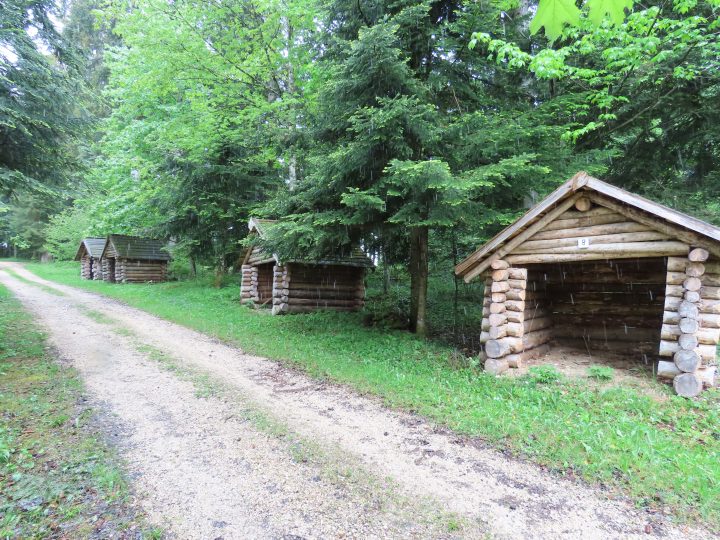 Abris de la forêt de la Joux