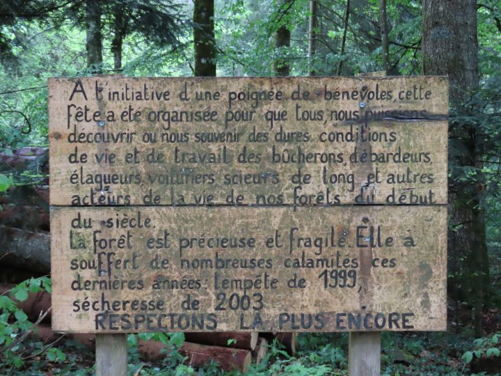 Abris de la forêt de la Joux