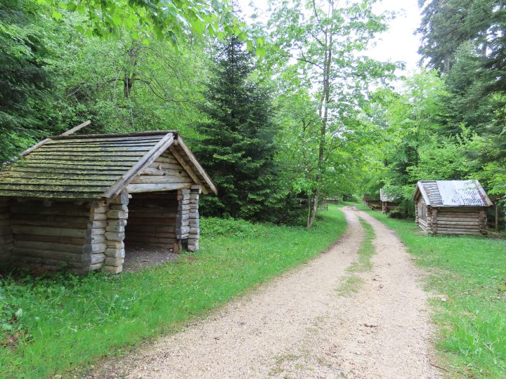 Abris de la forêt de la Joux