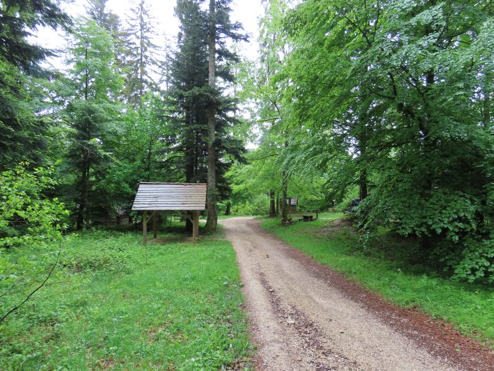 Abris de la forêt de la Joux