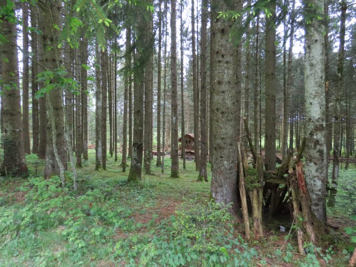 Cabane de Charopey