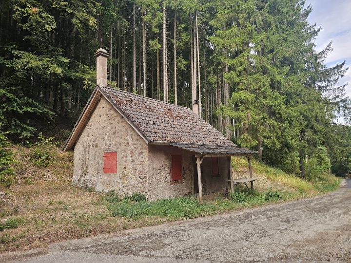 Pfostenhiesel