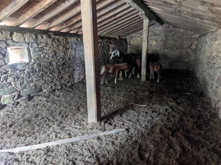 Bergerie d'Arrosagaraiko Borda