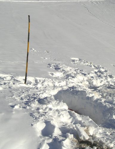 Chalet Raymond Derex (Le Bozon)