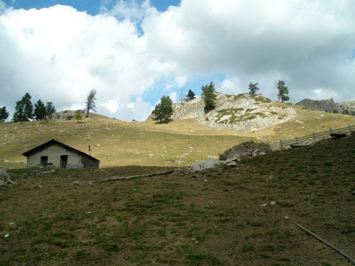 Bergerie d'Andrevez