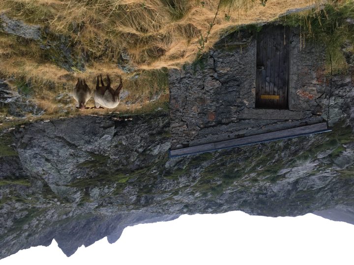 Cabane de l'Embernard