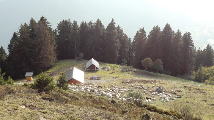 Chalet de la Platière