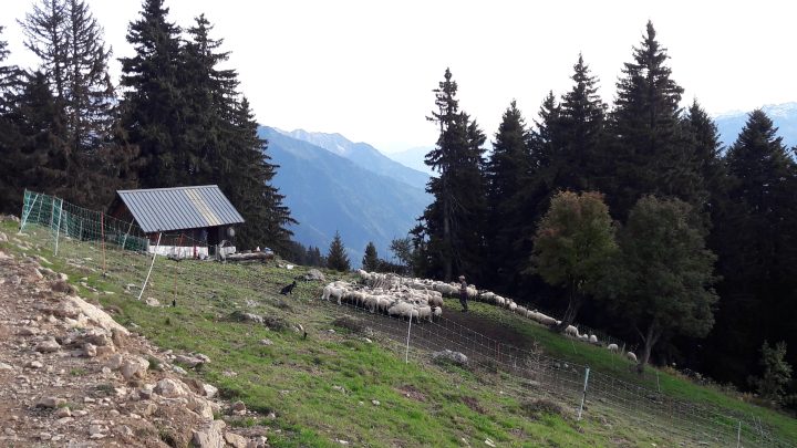 Chalet de la Platière