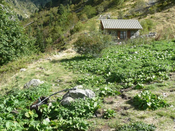 Cabane du Sellar