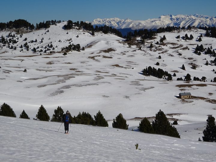 Abri de l'Essaure