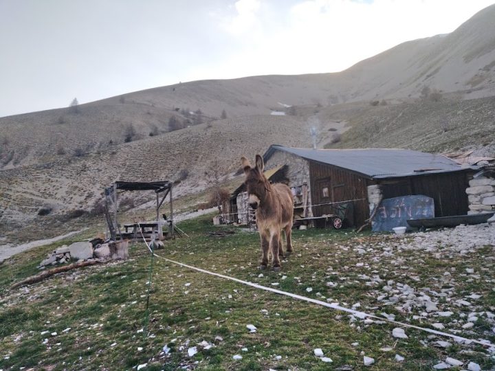 Cabane du Cheval Blanc