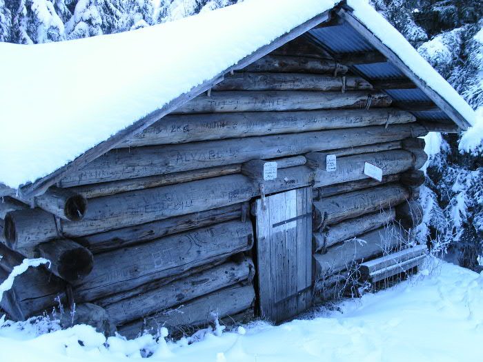Cabane de Queue de chien