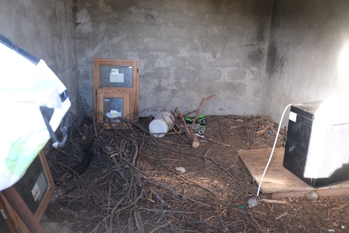 Cabane pastorale d'Oriol