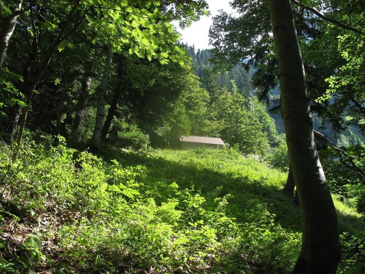 Abri des Varos