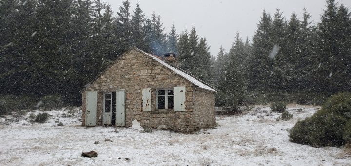 Abri forestier du Mont Fédio (Mt Lozère)