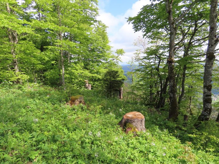 Cabane du Mont d'Or (CAS)
