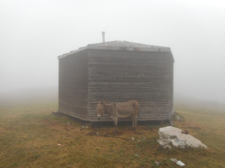 Cabane PNRV des Chaumailloux