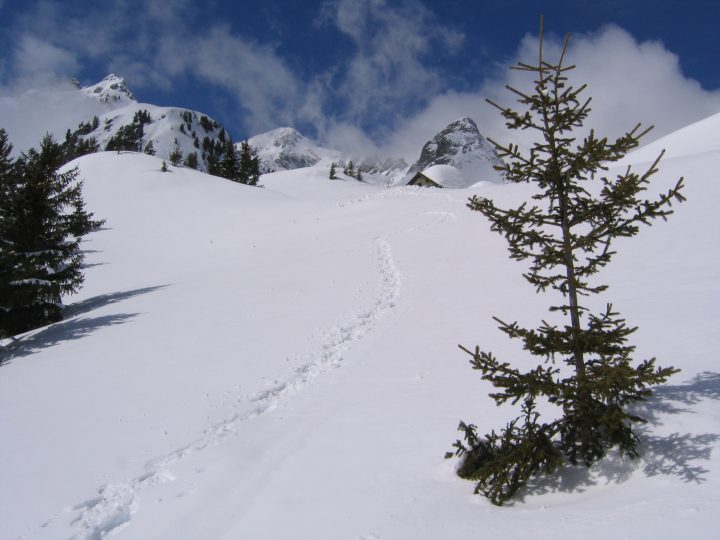 Chalet de Roche Coutant
