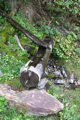 Cabane forestière de la Combe des Filles