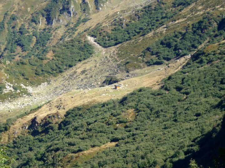 Cabane pastorale des Marmottes Noires