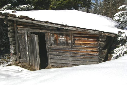Cabane Forestière du Bois Vert