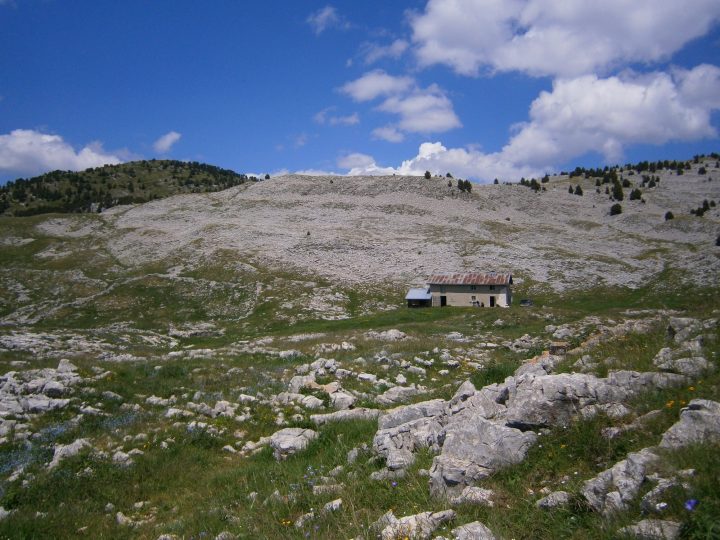 Bergerie de Peyre Rouge