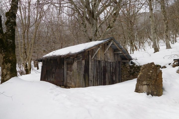 Cabane du Petit Sappey