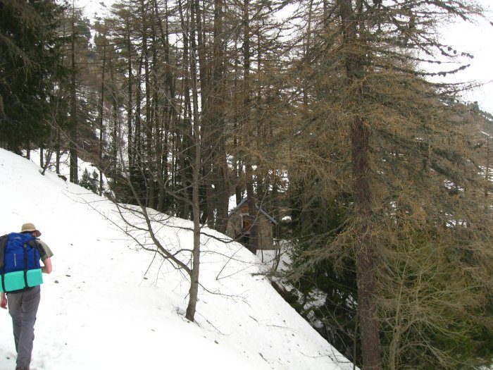 Baraque forestière du Veymont